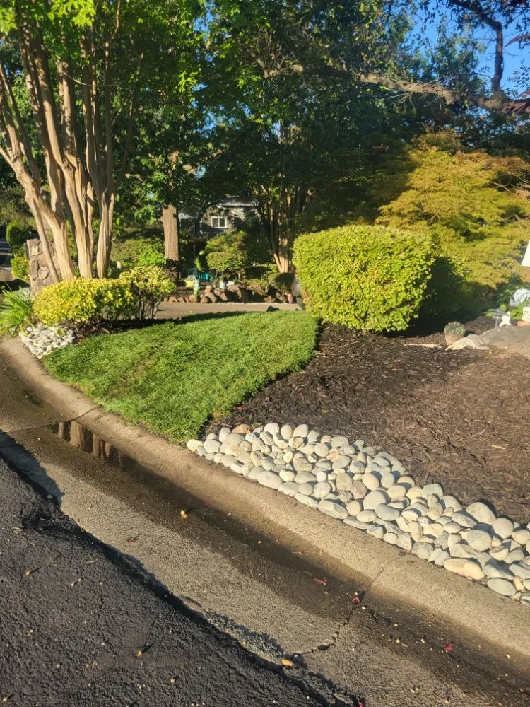 Reliable yard maintenance in Orangevale, CA by Bright Life Landscaping