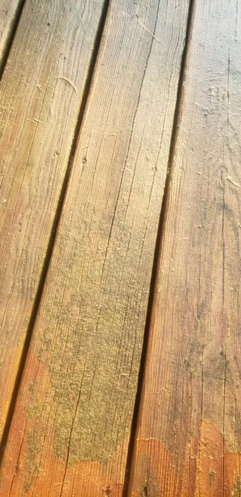 Affordable outdoor landscaping in Mitchellville, IA - Bright Light Construction Solutions