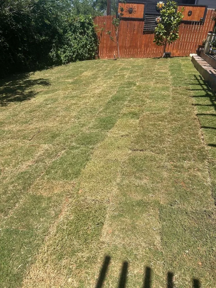 Custom lawn mowing service in San Antonio, TX by Bright Men Landscaping