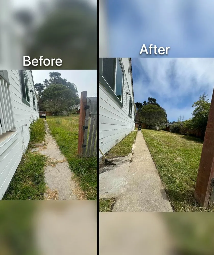 Affordable lawn care service in Marina, CA - Bright Outlook Maintenance