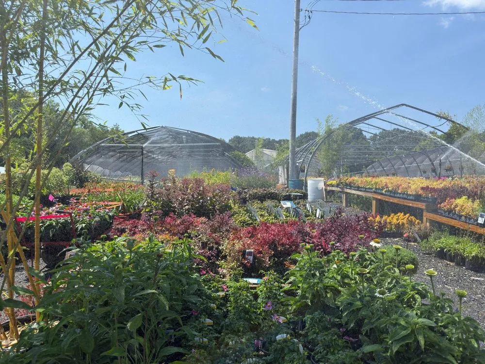 Local yard cleanup service for outdoor upgrades across Arlington, MA - Bright Roots Landscaping