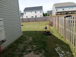 Expert yard cleanup service near you in Columbia, SC by Bright SC