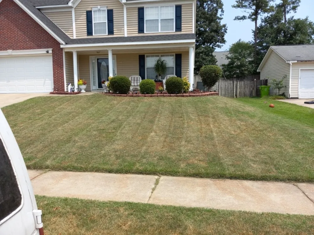 Affordable yard cleanup service experts serving Columbia, SC - Bright SC