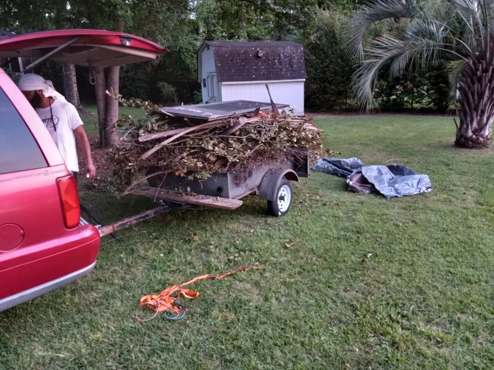 Expert lawn care service in Columbia, SC by Bright SC