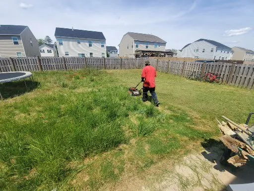 Top-rated residential landscaping with custom design across Columbia, SC - Bright SC