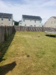 Top-rated landscaping services in Columbia, SC by Bright SC