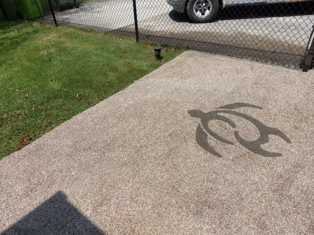 Local yard maintenance for outdoor upgrades across Columbia, SC - Bright SC