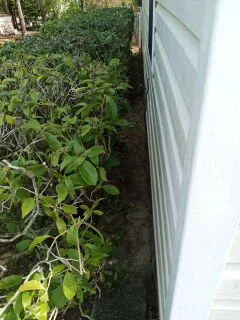 Affordable outdoor landscaping near you across Columbia, SC - Bright SC