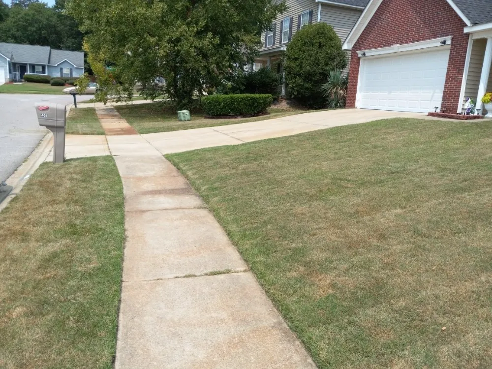 Affordable residential landscaping with custom design in Columbia, SC by Bright SC