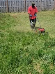 Local landscape installation for outdoor upgrades in Columbia, SC by Bright SC