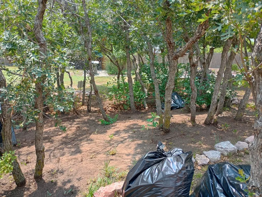 Affordable landscaping services in Colorado Springs, CO by Bright Side