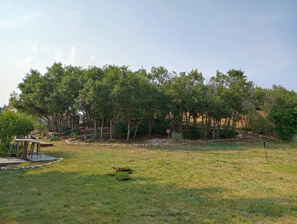 Custom garden landscaping for outdoor upgrades in Colorado Springs, CO by Bright Side