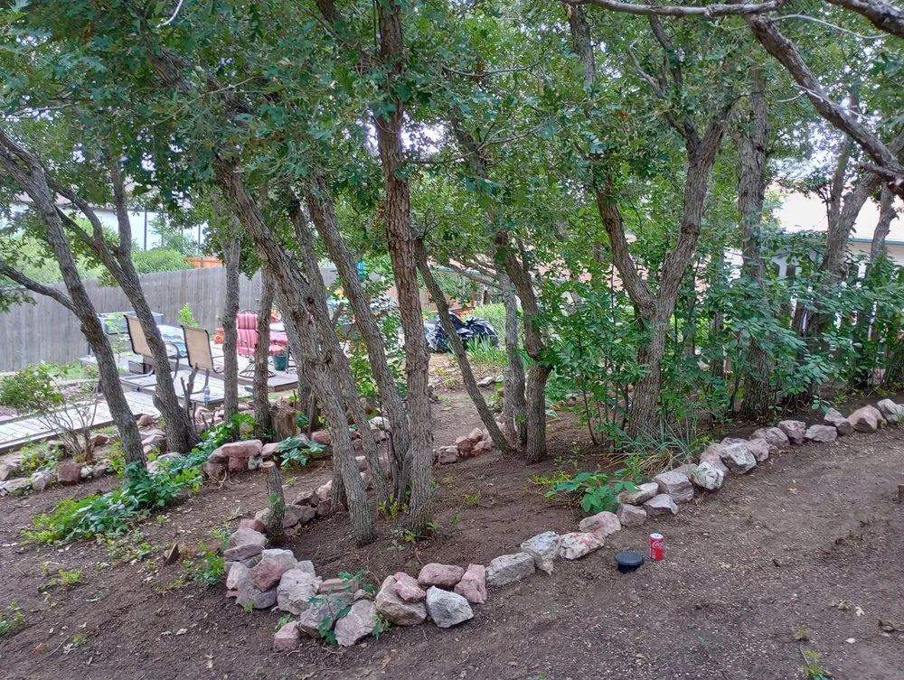 Top-rated yard cleanup service experts serving Colorado Springs, CO - Bright Side