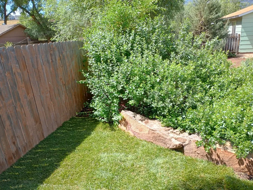 Expert yard maintenance in Colorado Springs, CO - Bright Side