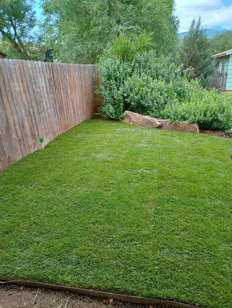 Expert yard maintenance for residential properties in Colorado Springs, CO by Bright Side