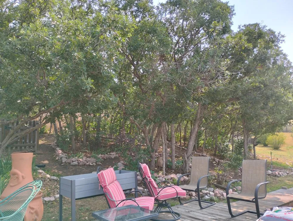 Reliable landscape design in Colorado Springs, CO by Bright Side