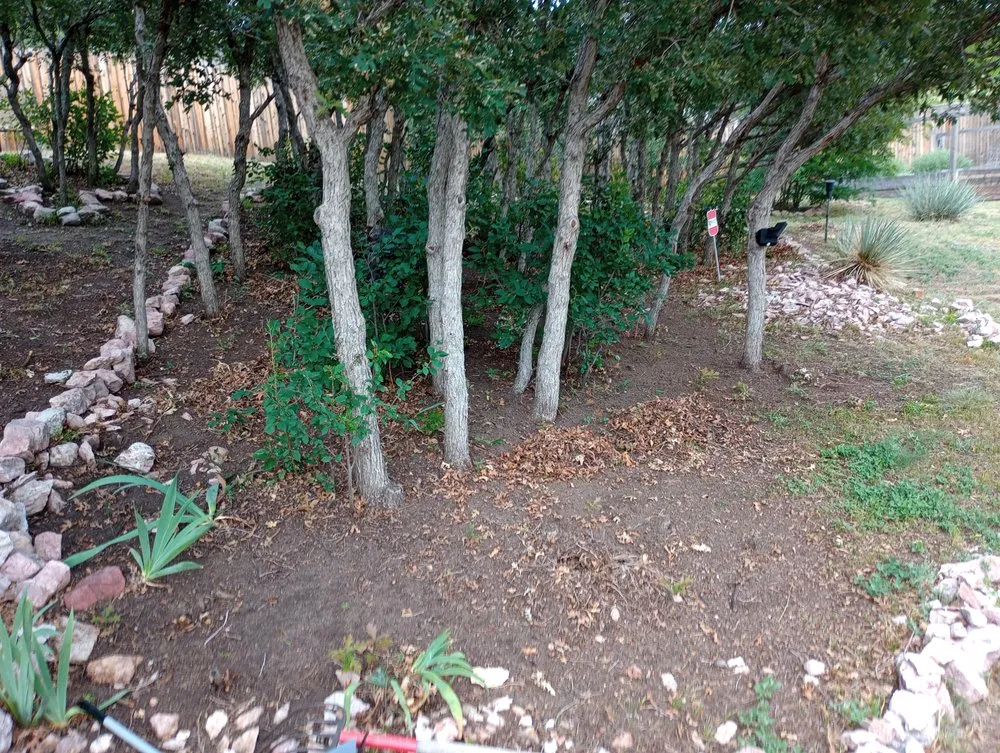 Local lawn care service experts serving Colorado Springs, CO - Bright Side