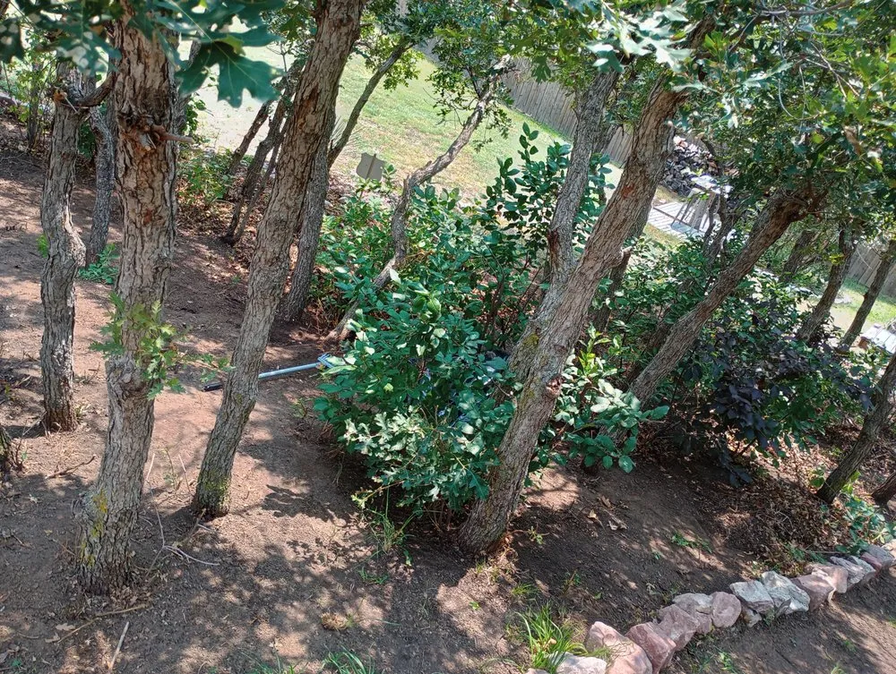 Expert residential landscaping experts serving Colorado Springs, CO - Bright Side