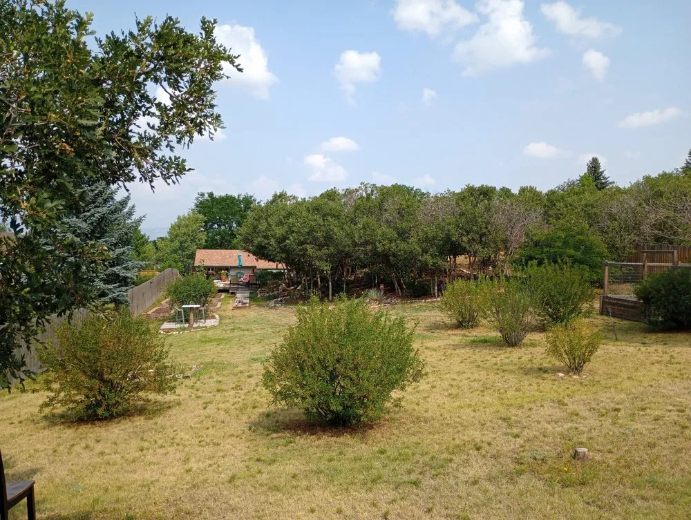 Affordable lawn care service experts serving Colorado Springs, CO - Bright Side