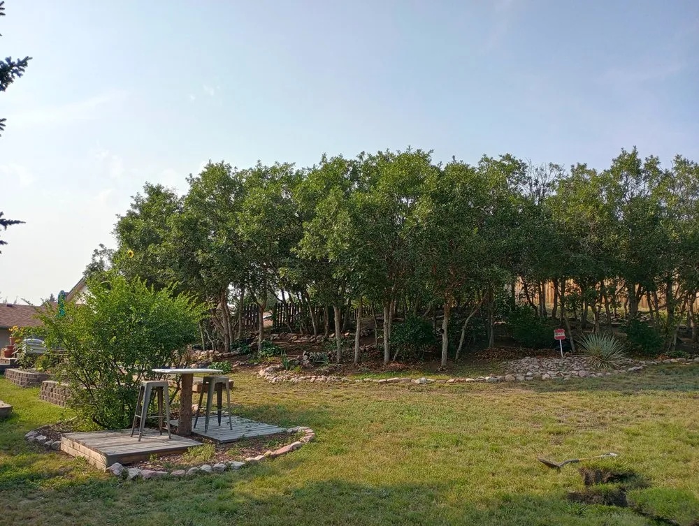 Custom outdoor landscaping for beautiful yards across Colorado Springs, CO - Bright Side