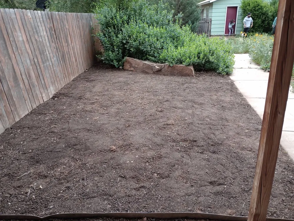 Trusted yard cleanup service in Colorado Springs, CO - Bright Side