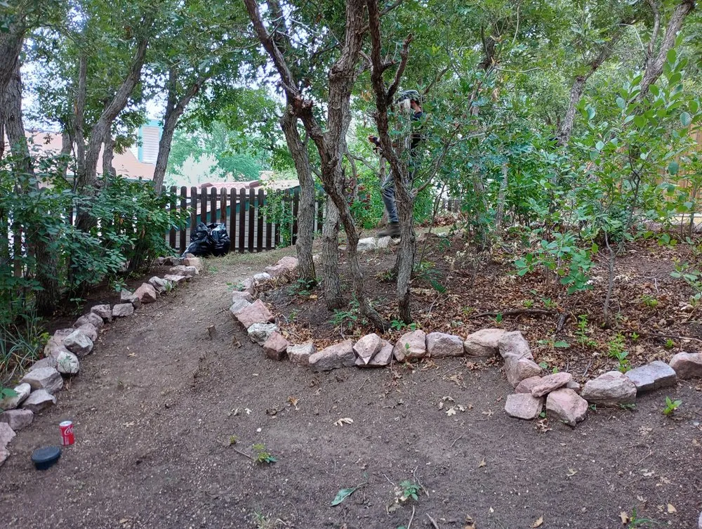 Trusted lawn mowing service in Colorado Springs, CO by Bright Side