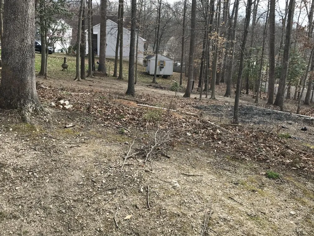 Affordable landscape design in Boston, VA by Bright Skys Tree and Landscape