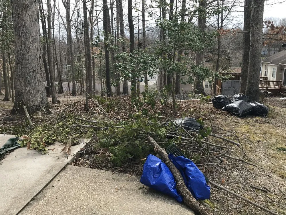 Top-rated lawn care service in Boston, VA - Bright Skys Tree and Landscape
