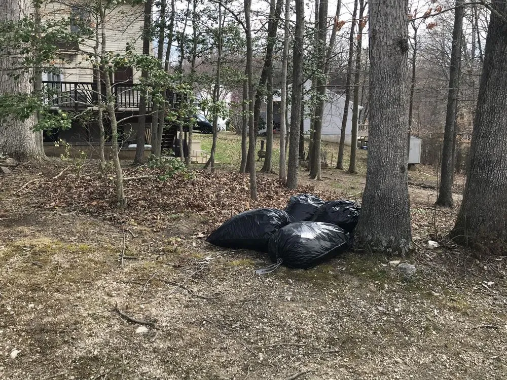 Professional yard cleanup service near you across Boston, VA - Bright Skys Tree and Landscape
