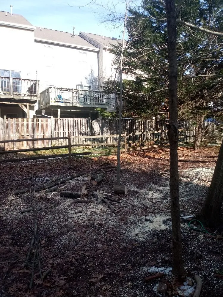 Reliable outdoor landscaping in Boston, VA by Bright Skys Tree and Landscape