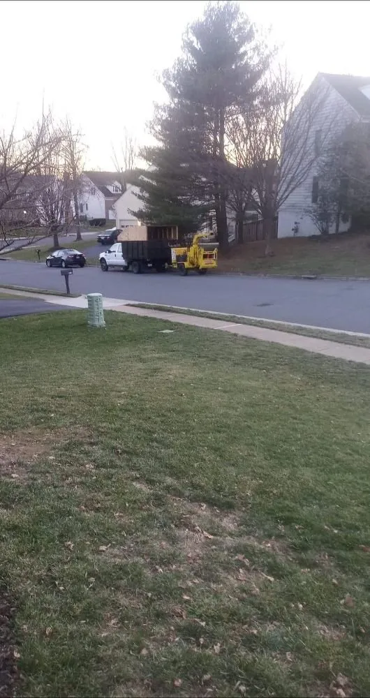 Affordable outdoor landscaping in Boston, VA - Bright Skys Tree and Landscape