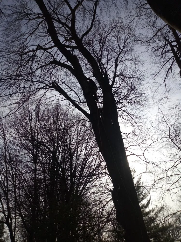 Trusted residential landscaping in Boston, VA by Bright Skys Tree and Landscape