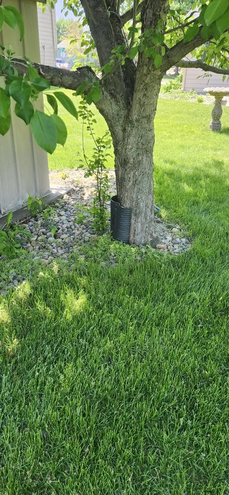 Professional yard maintenance experts serving Sioux Falls, SD - Bright Spot