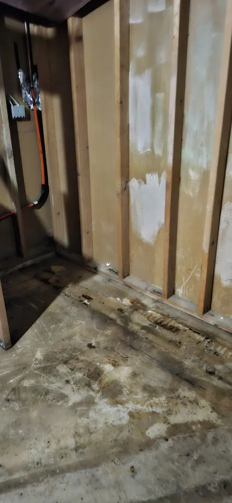 Local landscape design for beautiful yards in Sioux Falls, SD by Bright Spot