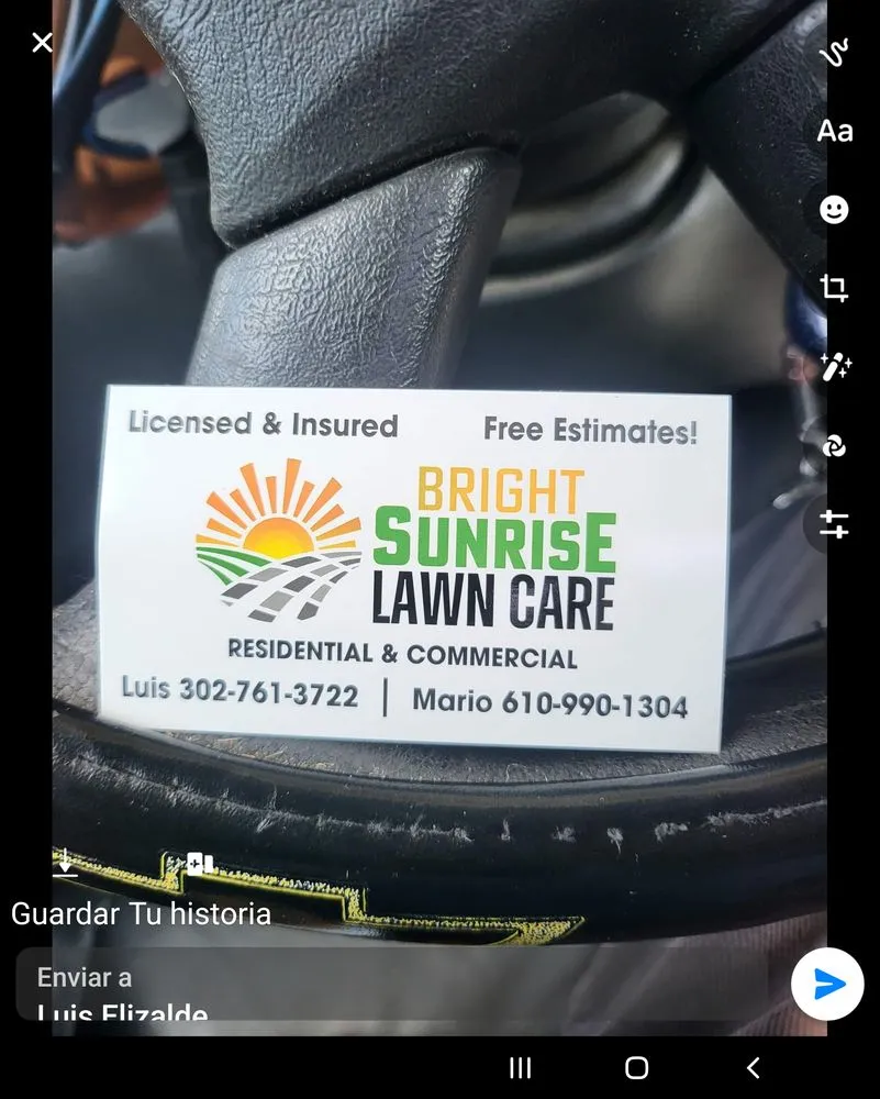 Expert lawn care service experts serving New Castle, DE - Bright Sunrise
