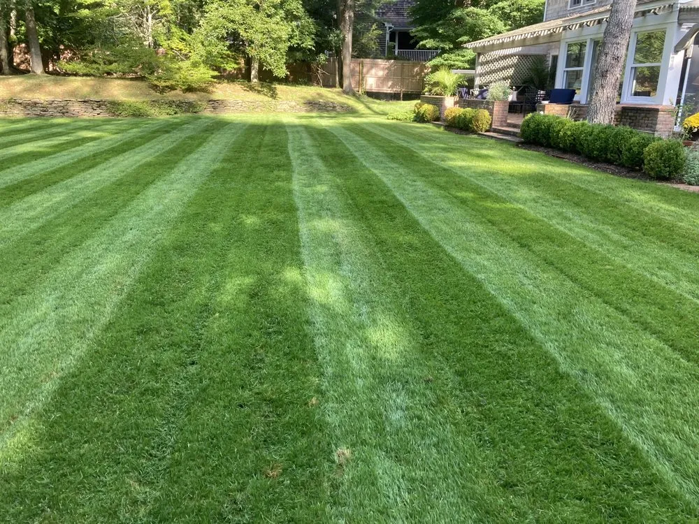 Affordable landscape design in East Hampton, NY - Bright View Gardens