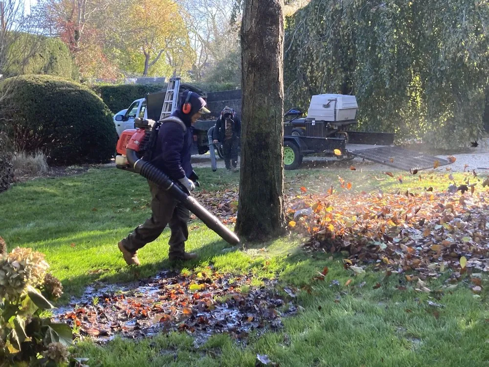 Affordable landscape design in East Hampton, NY - Bright View Gardens