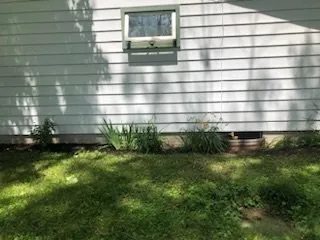 Expert lawn care service in Fredonia, NY by Bright Wave Maintenance