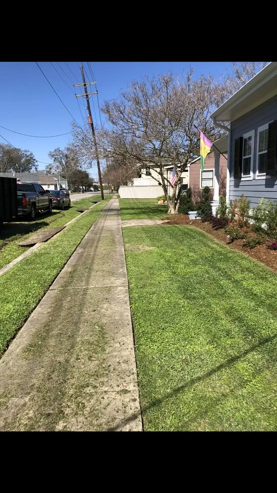 Local yard cleanup service in Marrero, LA by Bright Way Exterior Cleaning Services