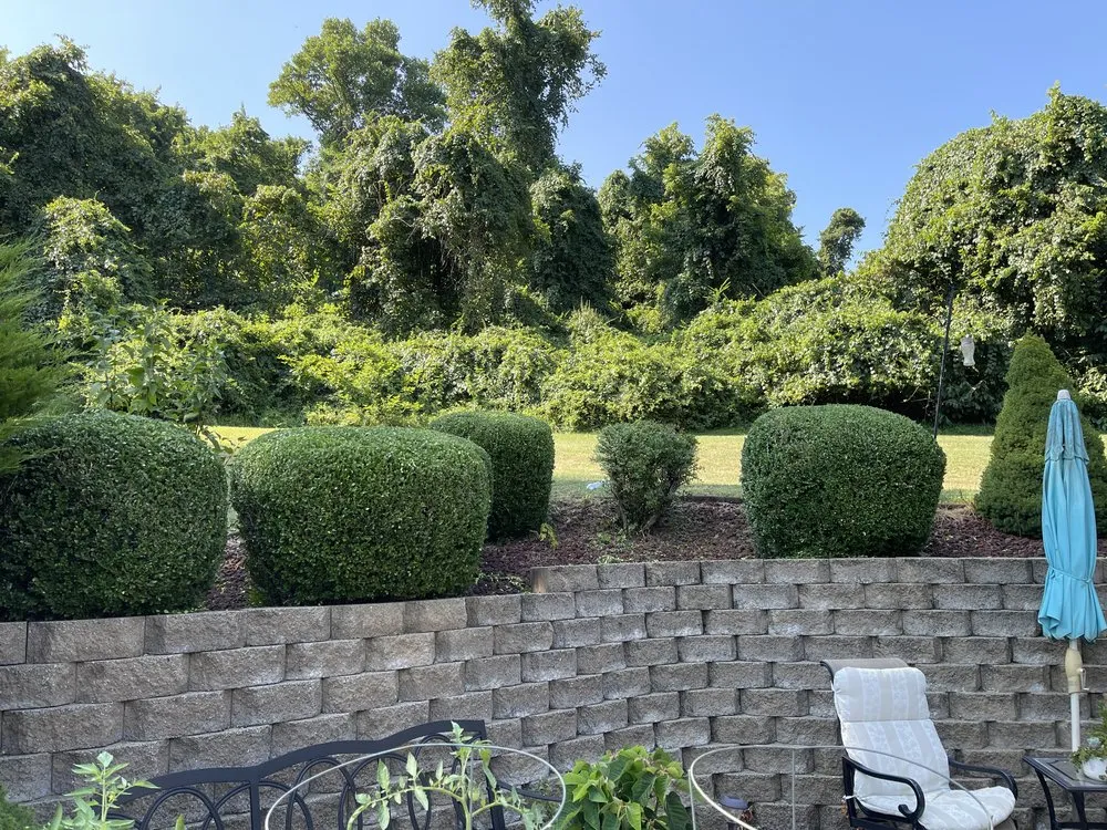 Expert landscape design near you in Wheeling, WV by Brightclean