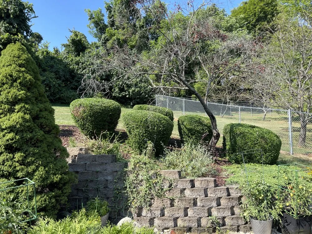 Expert yard maintenance in Wheeling, WV by Brightclean