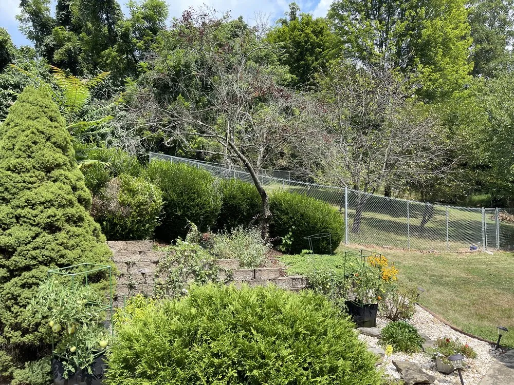 Custom yard maintenance for year-round maintenance across Wheeling, WV - Brightclean