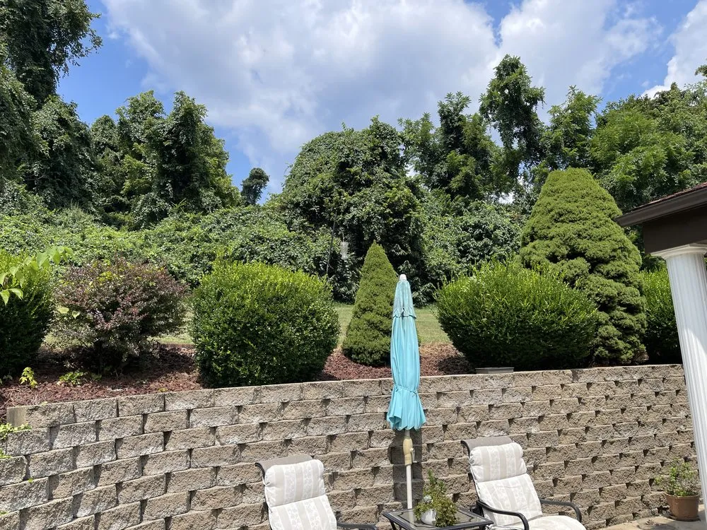 Top-rated lawn care service experts serving Wheeling, WV - Brightclean