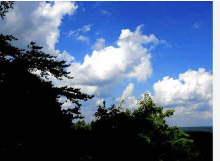 Trusted garden landscaping experts serving Coon Rapids, MN - BRIGHTER DAY ALL SEASON