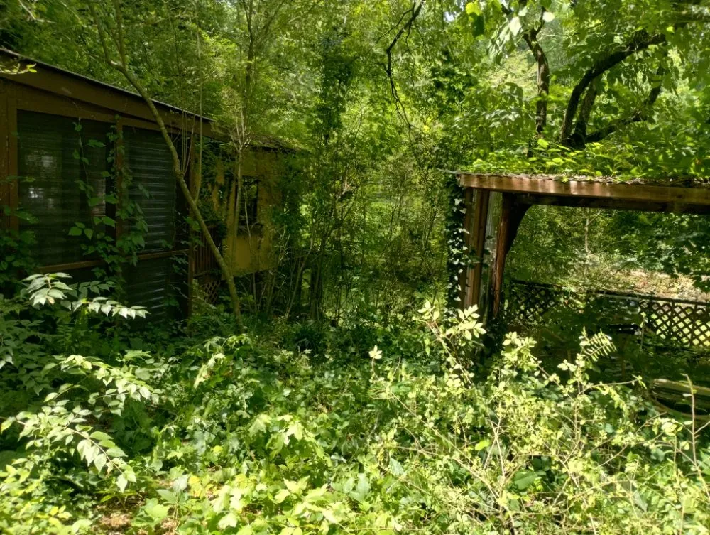 Expert landscape design in Rossville, GA by Brighter Days Lawncare