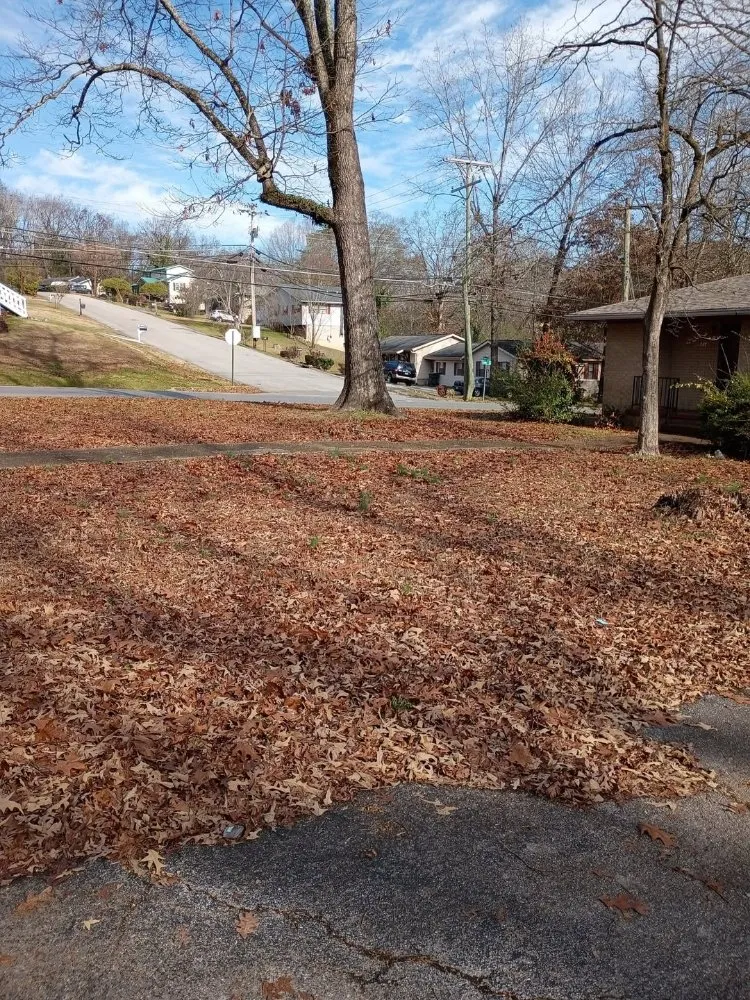 Custom residential landscaping in Rossville, GA by Brighter Days Lawncare