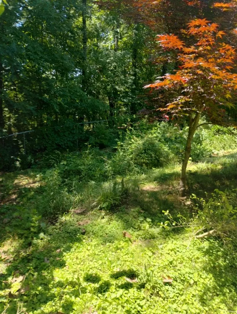 Affordable residential landscaping in Rossville, GA - Brighter Days Lawncare