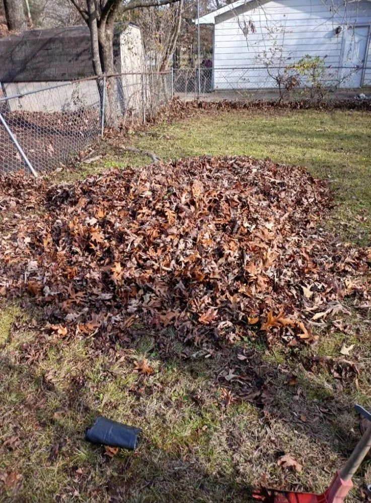 Trusted landscape design experts serving Rossville, GA - Brighter Days Lawncare