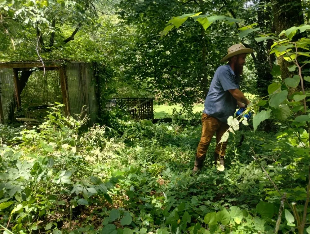 Expert yard cleanup service in Rossville, GA by Brighter Days Lawncare