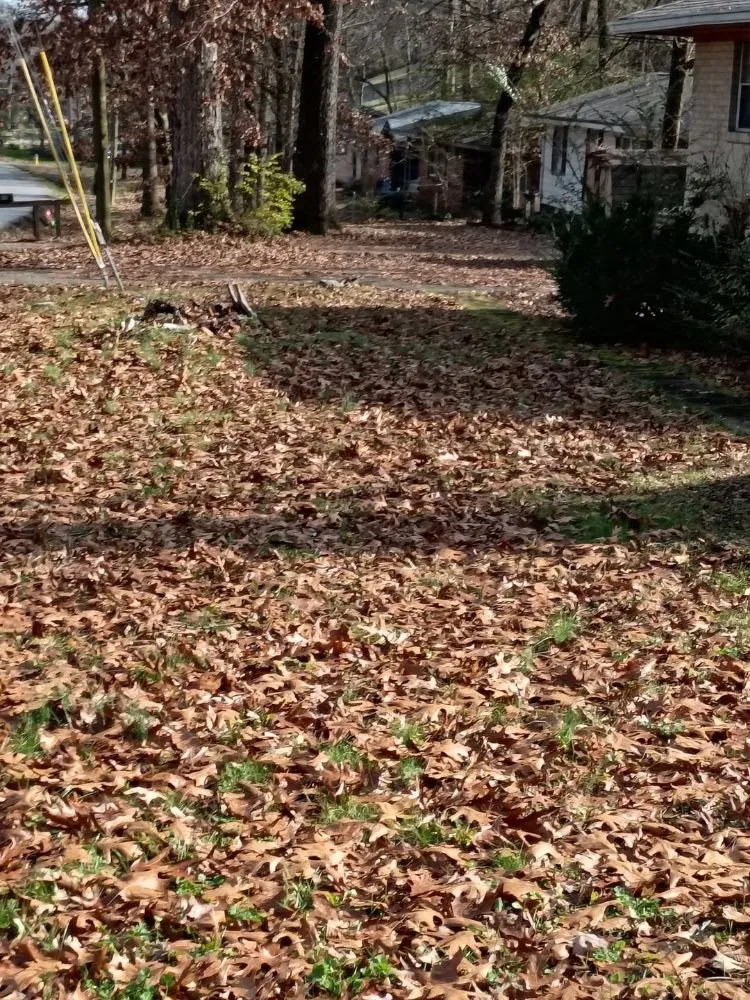 Professional yard cleanup service in Rossville, GA by Brighter Days Lawncare